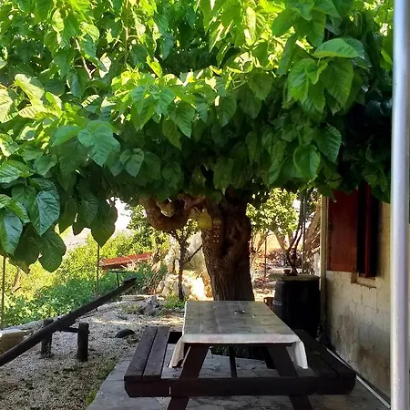 Xanthippi * Paphos