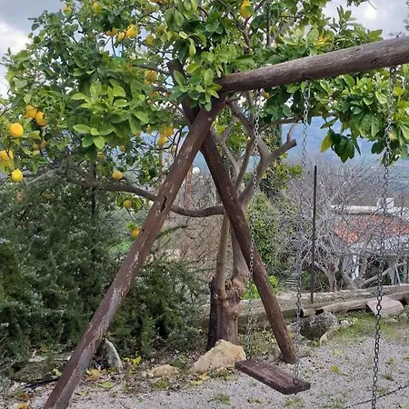 Xanthippi * Paphos