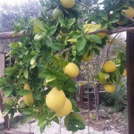 Xanthippi * Paphos